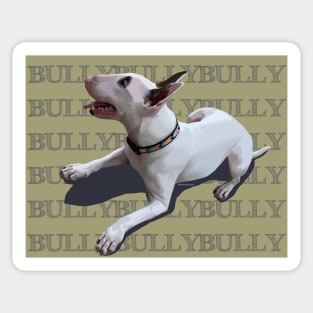 BULLYBULLYBULLY on opaque background Sticker